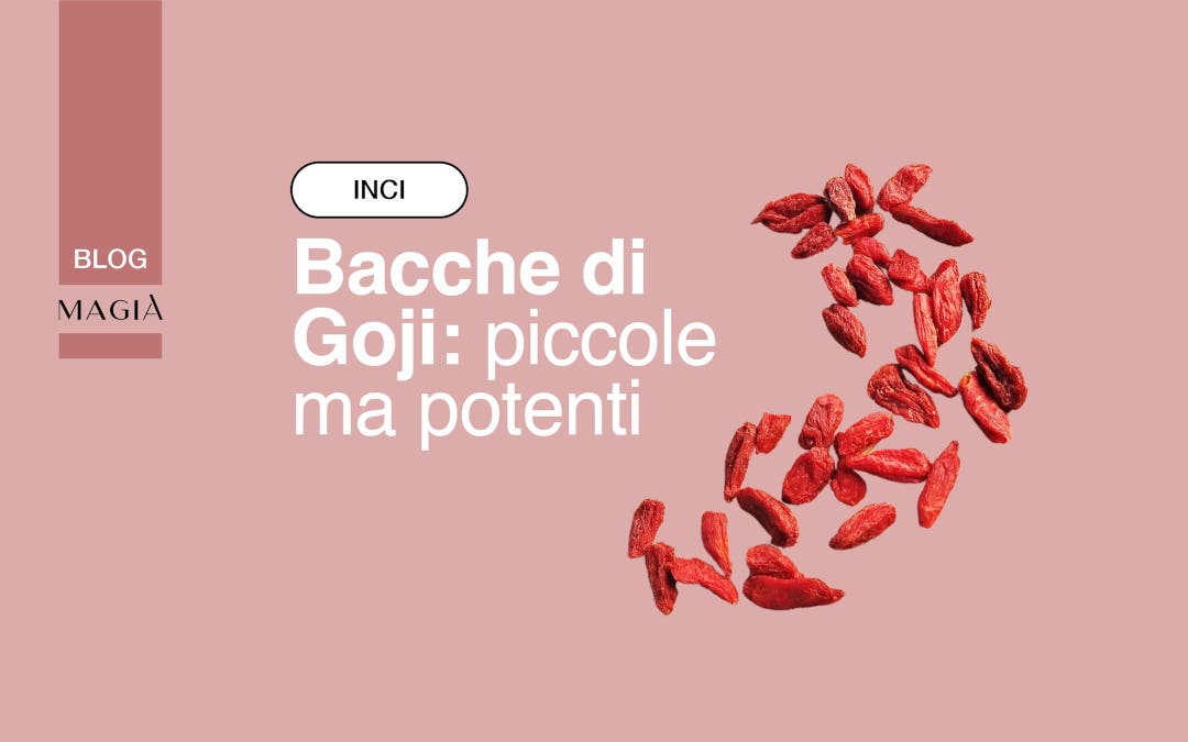 BACCHE DI GOJI