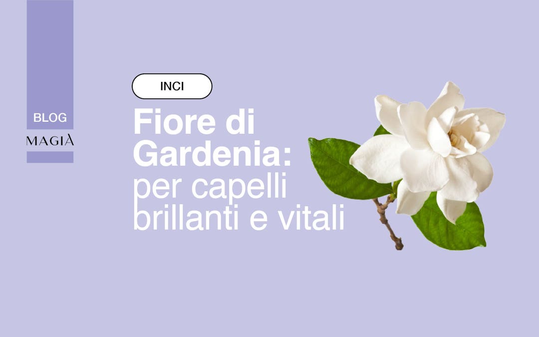 FIORE DI GARDENIA