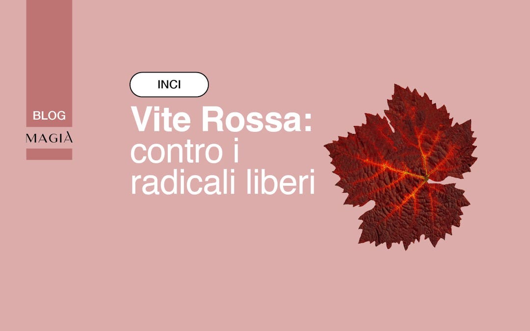 VITE ROSSA