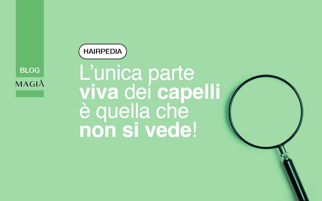 La struttura del bulbo pilifero